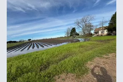 16442 County Road 268, East Bernard, TX 77435 - Photo 5