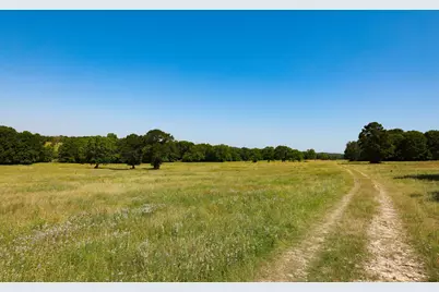Tract #9 Cr 305 Road, Navasota, TX 77868 - Photo 29
