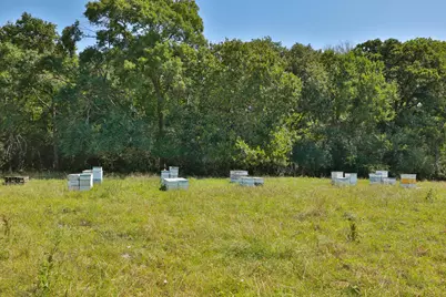 Tract #9 Cr 305 Road, Navasota, TX 77868 - Photo 15