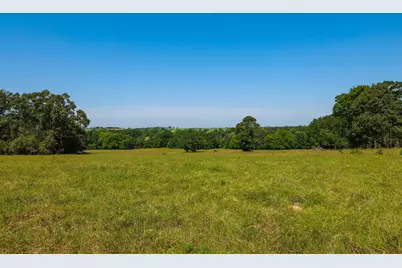 Tract #9 Cr 305 Road, Navasota, TX 77868 - Photo 27