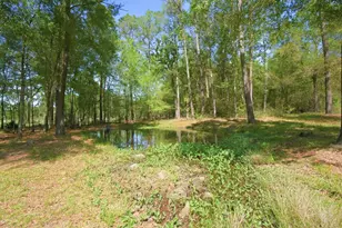 3102 Wilderness Way, Montgomery, TX 77316 - Photo 9