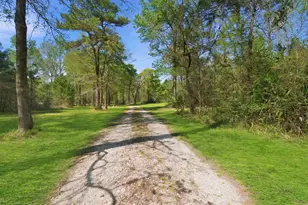 3102 Wilderness Way, Montgomery, TX 77316 - Photo 3