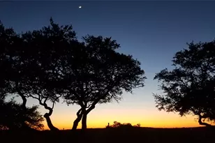 2055 Island View, Canyon Lake, TX 78133 - Photo 47