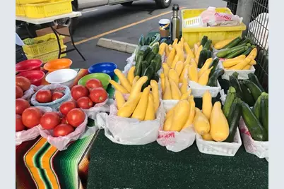 2055 Island View, Canyon Lake, TX 78133 - Photo 39