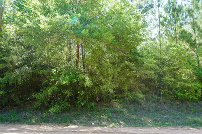 03 Tbd Sh 146/E Schwab, Livingston, TX 77351 - Photo 5