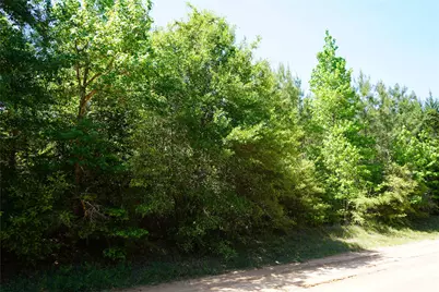 03 Tbd Sh 146/E Schwab, Livingston, TX 77351 - Photo 3
