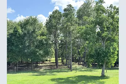 00000 County Road 540, Alvin, TX 77511 - Photo 5