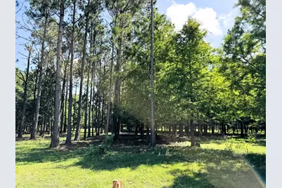 00000 County Road 540, Alvin, TX 77511 - Photo 3