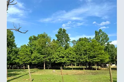 00000 County Road 540, Alvin, TX 77511 - Photo 7