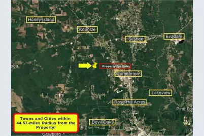 0 Sap Graveyard Road, Kountze, TX 77625 - Photo 5