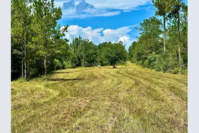 81363 George Sanner Rd Road, Village Mills, TX 77663 - Photo 37