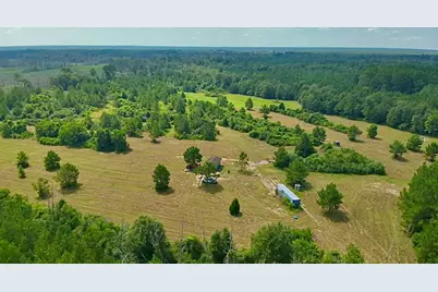 81363 George Sanner Rd Road, Village Mills, TX 77663 - Photo 9