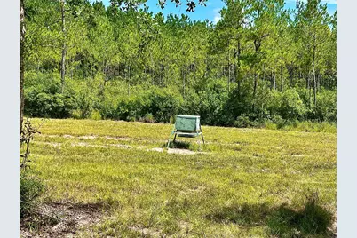 81363 George Sanner Rd Road, Village Mills, TX 77663 - Photo 33