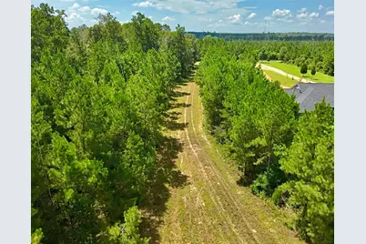 81363 George Sanner Rd Road, Village Mills, TX 77663 - Photo 43