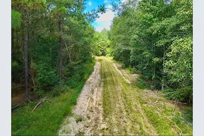 81363 George Sanner Rd Road, Village Mills, TX 77663 - Photo 41