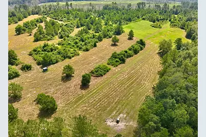 81363 George Sanner Rd Road, Village Mills, TX 77663 - Photo 5