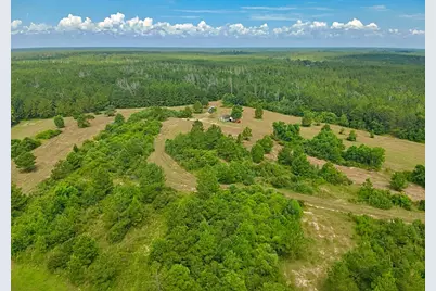 81363 George Sanner Rd Road, Village Mills, TX 77663 - Photo 7