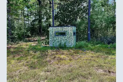 81363 George Sanner Rd Road, Village Mills, TX 77663 - Photo 35