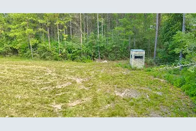 81363 George Sanner Rd Road, Village Mills, TX 77663 - Photo 39