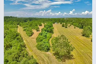 81363 George Sanner Rd Road, Village Mills, TX 77663 - Photo 17