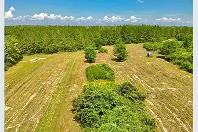 81363 George Sanner Rd Road, Village Mills, TX 77663 - Photo 13