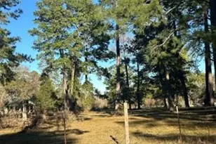 473 Marion Ln, New Waverly, TX 77358 - Photo 1