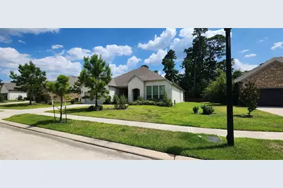 353 Gotland Russ Lane, The Woodlands, TX 77382 - Photo 3