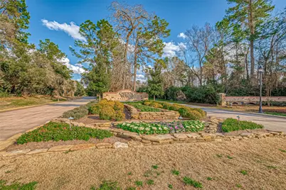 39 Pronghorn Place, Spring, TX 77389 - Photo 33