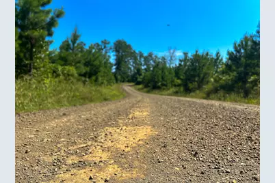 12 Carters Ferry Road, Milam, TX 75959 - Photo 3