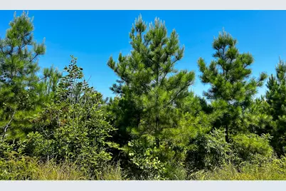 12 Carters Ferry Road, Milam, TX 75959 - Photo 5