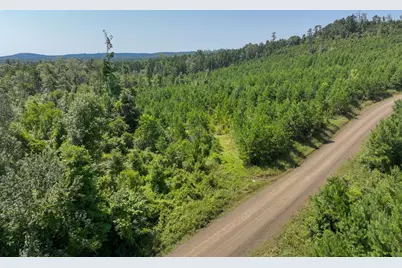 12 Carters Ferry Road, Milam, TX 75959 - Photo 7