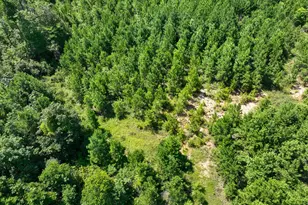 12 Carters Ferry Rd, Milam, TX 75959 - Photo 1