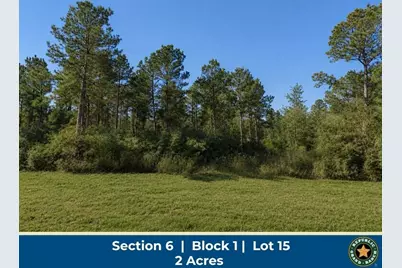 11706 Grand North Road, Willis, TX 77378 - Photo 1