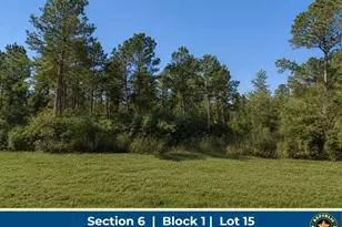 11706 Grand N Rd, Willis, TX 77378 - Photo 1