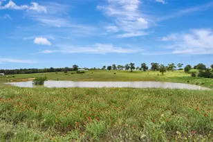 849 Co Rd 331A, Milano, TX 76556 - Photo 31