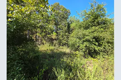 0 Hackberry Drive, Plantersville, TX 77363 - Photo 3