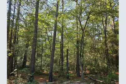 0 Hackberry Drive, Plantersville, TX 77363 - Photo 1