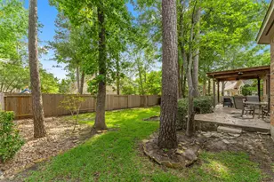 51 N Scribewood Cir, The Woodlands, TX 77382 - Photo 49