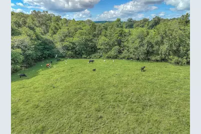 000 County Road 1750, Grapeland, TX 75844 - Photo 15