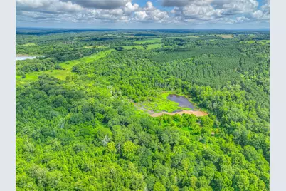 000 County Road 1750, Grapeland, TX 75844 - Photo 29