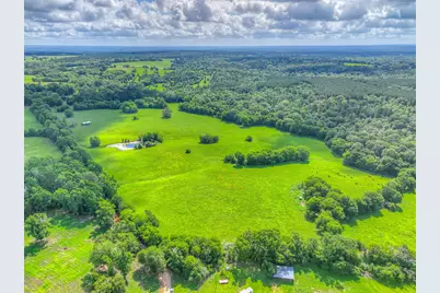 000 County Road 1750, Grapeland, TX 75844 - Photo 7