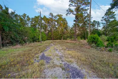 184 Willow Drive, Onalaska, TX 77360 - Photo 1