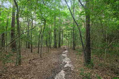 22914 Three Pines Drive, Hockley, TX 77447 - Photo 33