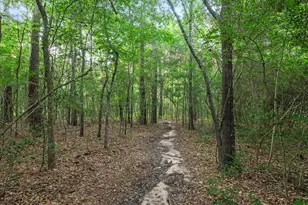 22914 Three Pines Dr, Hockley, TX 77447 - Photo 33