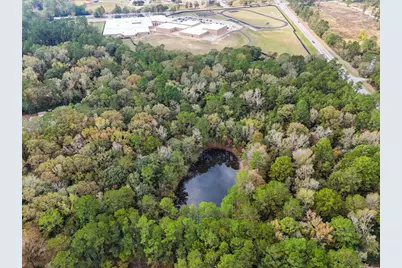 17278 Fm 2090 Road, Conroe, TX 77306 - Photo 17