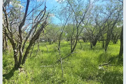 1714 J Newz Lane, Wallis, TX 77485 - Photo 3