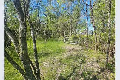 1714 J Newz Lane, Wallis, TX 77485 - Photo 7