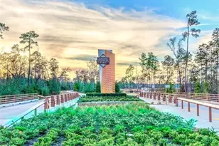 259 Navasota Narrows Wy, Conroe, TX 77304 - Photo 5