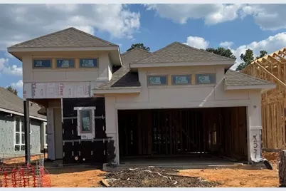 259 Navasota Narrows Way, Conroe, TX 77304 - Photo 3