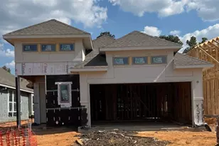 259 Navasota Narrows Wy, Conroe, TX 77304 - Photo 3